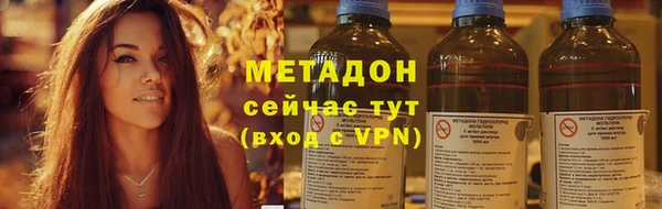 индика Нея