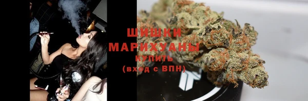 прущая мука Арсеньев