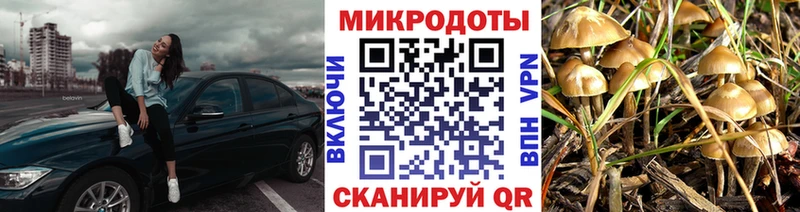 ОМГ ОМГ зеркало  дарк нет официальный сайт  Галлюциногенные грибы мицелий  цены наркотик  Лянтор 