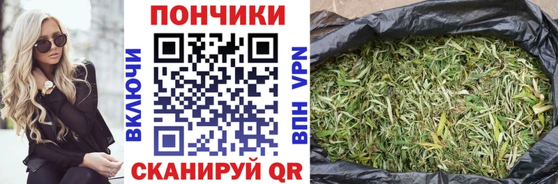 купить  сайты  Лянтор  Каннабис Amnesia 